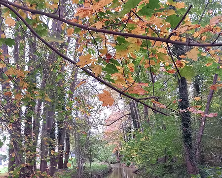 20241102_152628-01 Merci à Alain et Jean-Louis pour cette belle randonnée automnale.