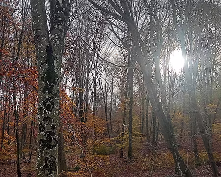 20241124_105227-01-01