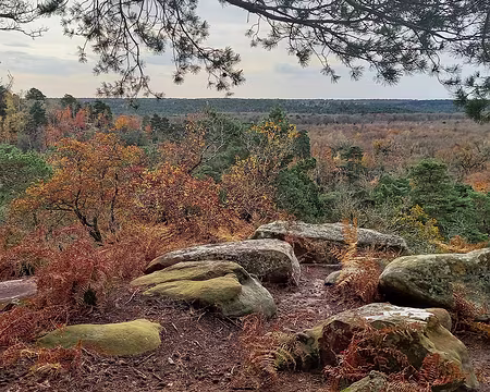 20241124_114755-01 Point de vue du Camp de Chailly