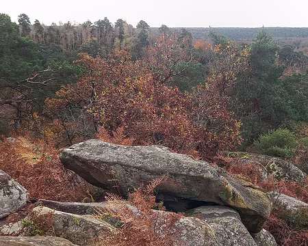 20241124_114816-01 Point de vue du Camp de Chailly