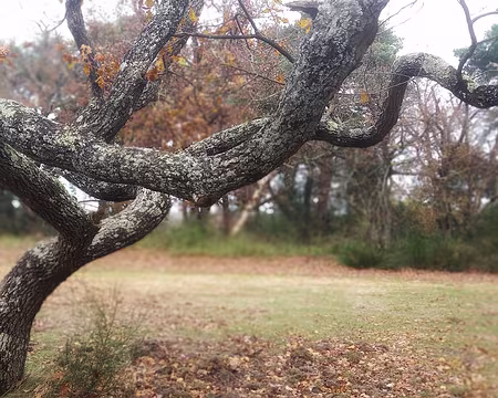 20241124_115038-01 Prendre ses aises