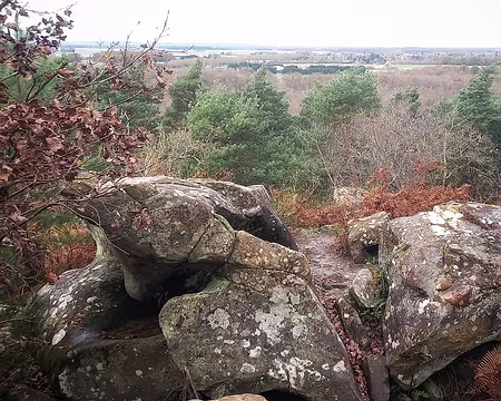 20241124_122154-01 Plaine de Bière