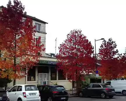 003 Liquidambars sur la place de Verdun, près de la gare (Viroflay)