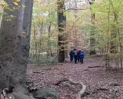 006 La forêt domaniale de Meudon (1100 ha) est la plus vaste forêt des Hauts-de-Seine