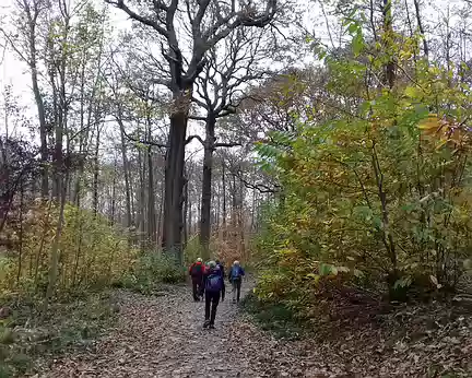 011 La forêt domaniale de Fausses-Reposes (616 ha) est une ancienne forêt royale