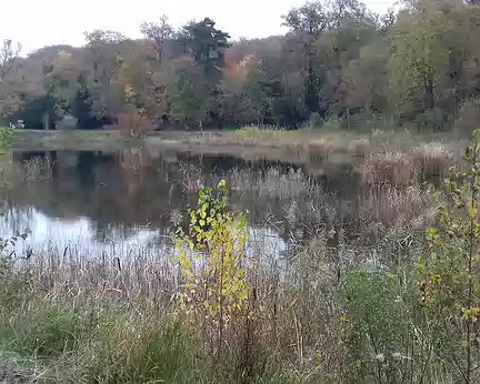 019 L’Etang Neuf a été aménagé en 1690 par Monsieur, frère de Louis XIV, pour servir de réservoir aux jeux d’eau du parc de Saint-Cloud