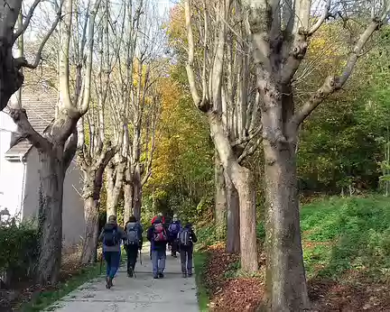 031 Dans le parc départemental Casimir Davaine à Garches