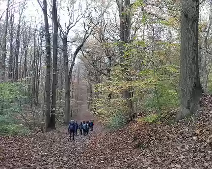 036 Arrivée dans la forêt domaniale de la Malmaison au relief escarpé