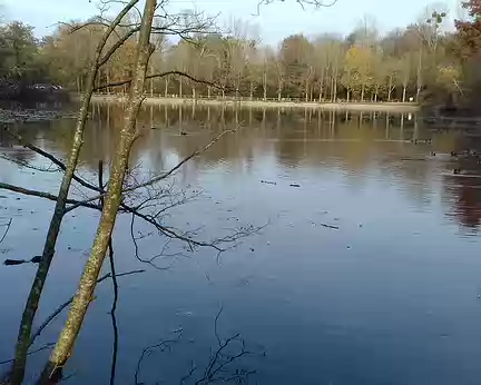 037 L’étang de Saint-Cucufa au cœur de la forêt de la Malmaison