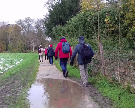 006 Quelques flaques sur le chemin