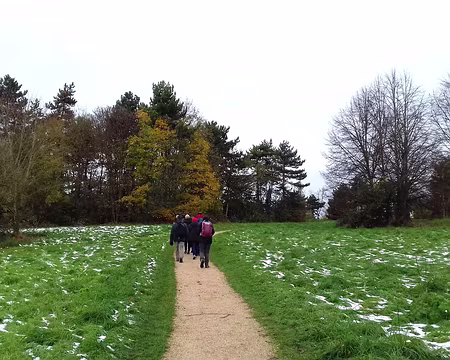 007 Prairies et bosquets