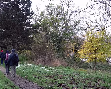 010 L’allée du Bord de l’Eau (ancien chemin de halage) le long de la Seine
