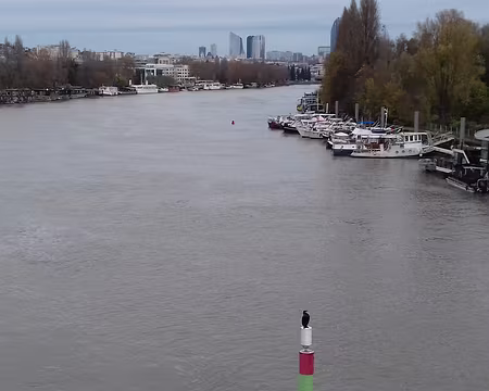 019 Le repos du cormoran