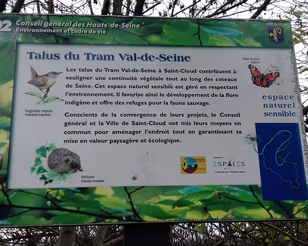 024 Les talus du tram (Saint-Cloud)