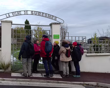 029 Martine nous présente l’histoire de la vigne communale de Suresnes, située rue du Pas Saint-Maurice