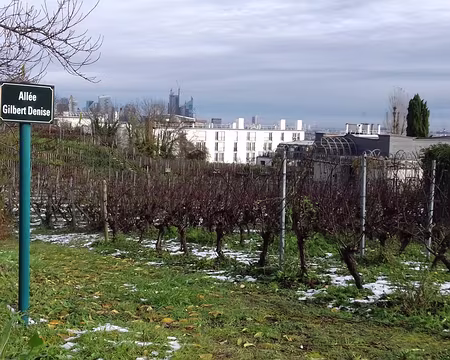 032 Vue sur Paris et la Défense depuis la vigne de Suresnes