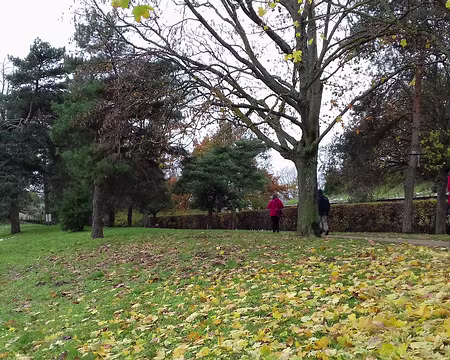 039 Le Parc du mont Valérien, labellisé EVE (Espace Végétal Ecologique), est composé de grandes pelouses entourées de bosquets