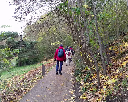 041 Le chemin à mi-pente