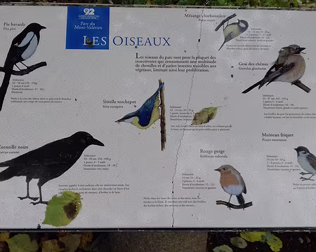 047 Les oiseaux du parc