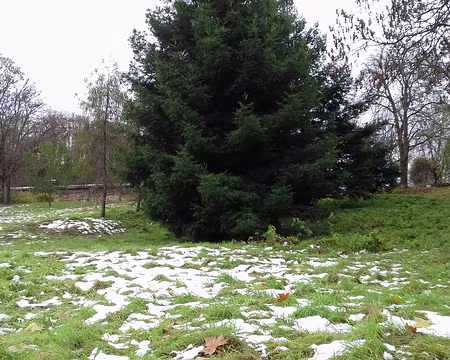 050 Merci Martine pour cette belle randonnée automnale et pour les commentaires historiques