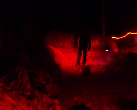 P1180497 Bipède et rayon rouge.