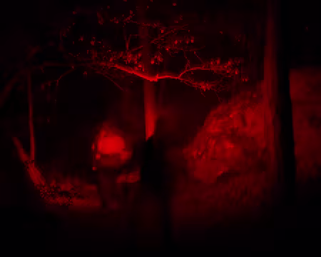 P1180503 On ne s'arrête jamais au feu rouge !