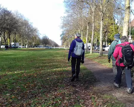 019 L’avenue Albine, créée par François Mansart, traverse le parc du château de Maisons