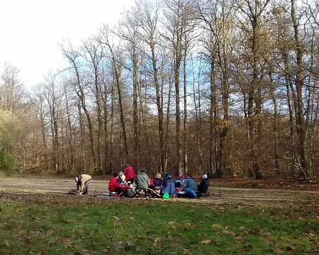 025 Pique-nique convivial dans une clairière de la forêt de Saint-Germain