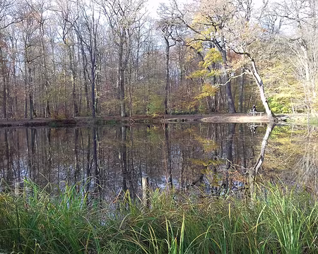 031 La mare aux Canes