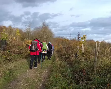 035 Chemin entre deux parcelles en cours de reboisement (chênes)