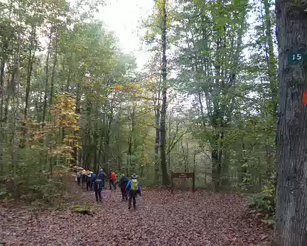 P1200169 Forêt de la Tête ronde