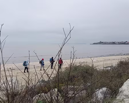 20241229_133657-01 Fouras