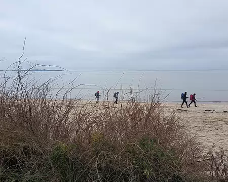 20241229_134333-01-01