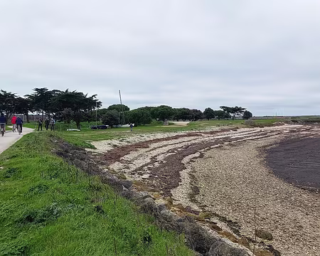 20241231_135133-01 L'une des nombreuses pistes cyclables de l'île.