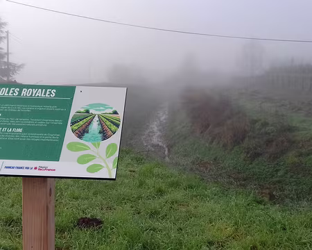 002 La rigole du Lit de Rivière. Les rigoles royales ont été créées au XVIIème siècle, sous le règne de Louis XIV, pour alimenter en eau le parc de Versailles