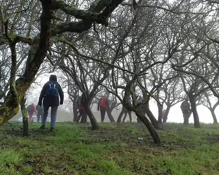 005 Verger près de l’étang du Val Favry