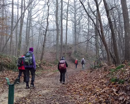 019 Le sentier de découverte des anciennes carrières du bois de Maincourt au relief accidenté.