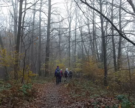 021 La nature a repris ses droits dans les anciennes carrières