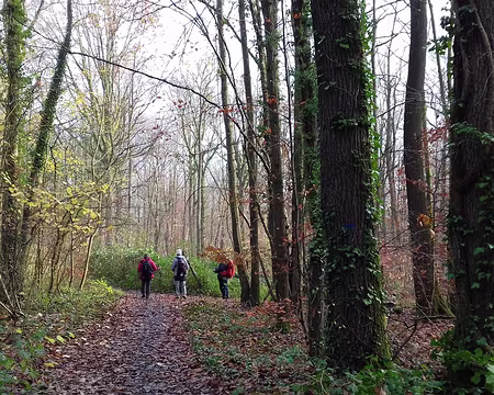 040 Un rayon de soleil