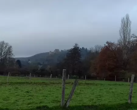 049 Vue sur le château de la Madeleine (Chevreuse)