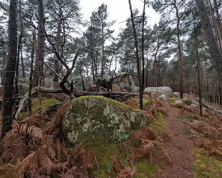 008 Les passages rocheux, un labyrinthe minéral