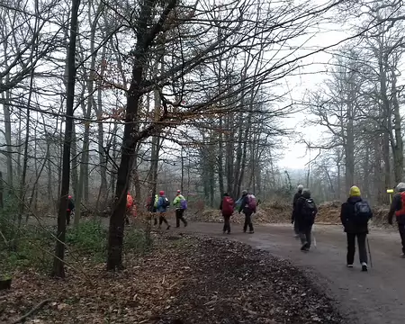 002 Départ de Saint-Cyr pour une randonnée de 14 km jusqu’à Versailles via les étangs de La Minière (vallée de la Bièvre)