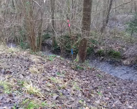 003 Le ru du Bois Robert, dans la forêt domaniale de Versailles, est le premier affluent de la Bièvre qu’il rejoint dans l’étang du Moulin à Renard