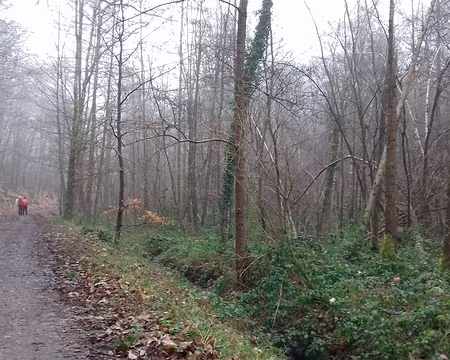 004 La route forestière de la Fontaine Blanche (GR 11) dans la forêt de Versailles.