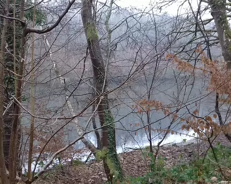 006 L’étang du Moulin à Renard a été créé par Colbert pour alimenter en eau le château de Versailles. C’est le premier des trois étangs de La Minière