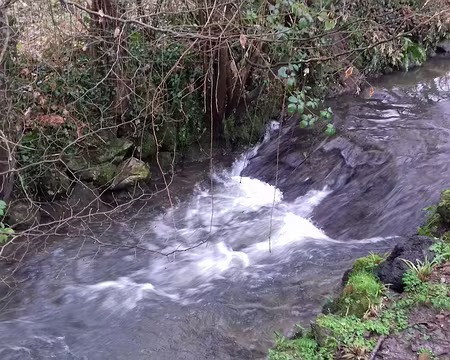 012 La Bièvre, longue de 36 km, est un affluent de la Seine