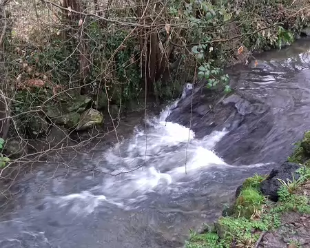 012 La Bièvre, longue de 36 km, est un affluent de la Seine