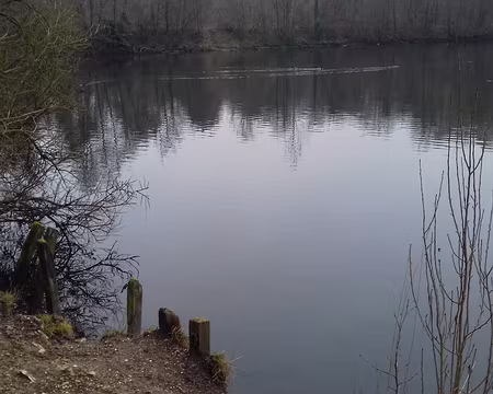 016 Sur la berge de l’étang du Val d’Or