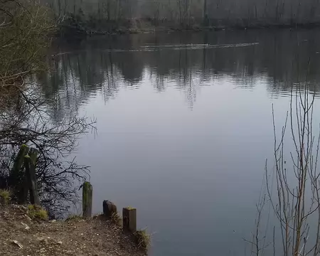 016 Sur la berge de l’étang du Val d’Or