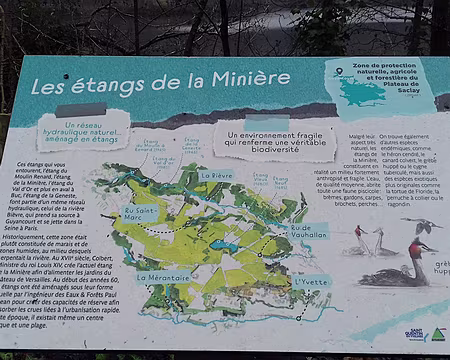 017 Les étangs de la Minière